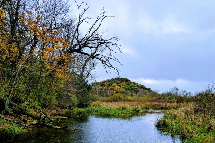 Lodi, WI Homes for Sale and Realtors