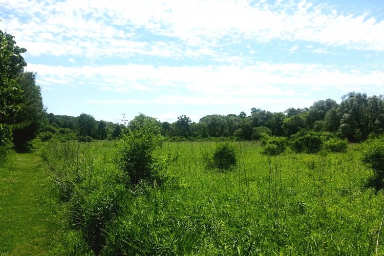 Waunakee, WI Homes for Sale & Real Estate